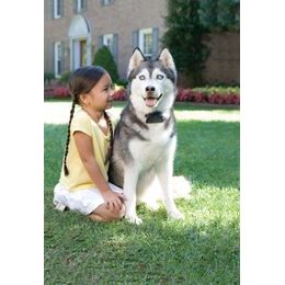 PetSafe® ohradník pro malé a střední psy