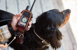 GPS pre psov GARMIN vs. TRACKER – Kto z koho? Dozviete sa u nás!
