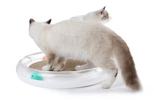 Škrabadlo pre mačky Petkit: vynaliezavé riešenie pre všetky mačky v domácnosti