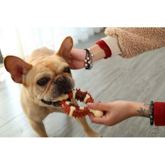 Reedog Bone, zubná hračka pre psy