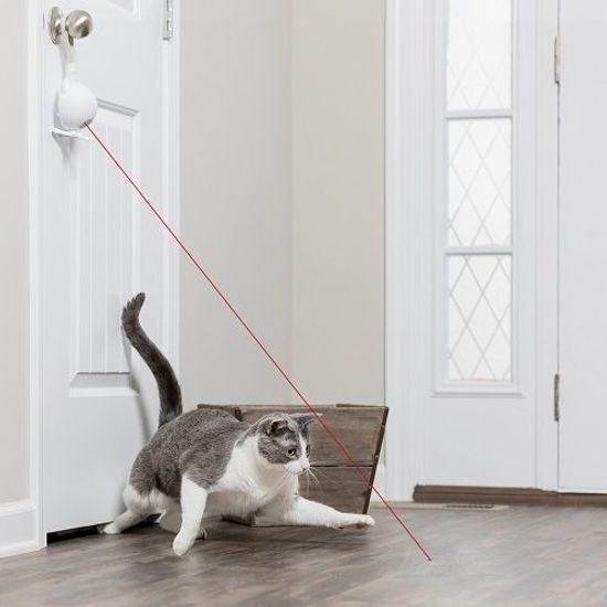 Hračka pro kočky, PetSafe® Dancing Dot