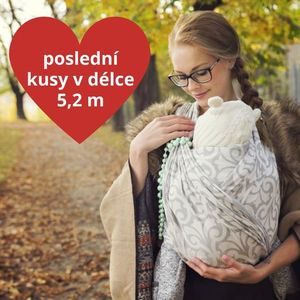 Poslendí kusy Lenire Campanula stříbrná