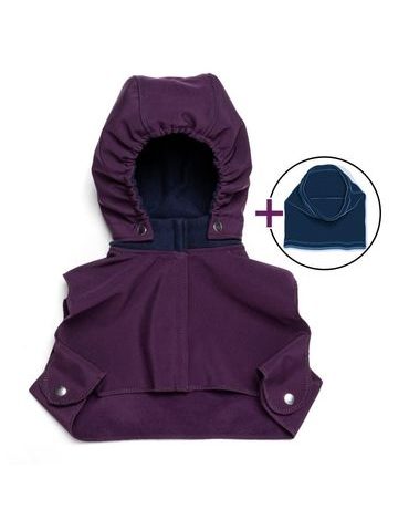 Liliputi kukla/kapucka 2020 Blue plum
