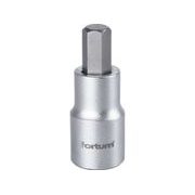 FORTUM HLAVICE ZÁSTRČNÁ 1/2" IMBUS, H 10, L 55MM, 4700610 - ZÁSTRČNÉ HLAVICE{% if kategorie.adresa_nazvy[0] != zbozi.kategorie.nazev %} - RUČNÍ NÁŘADÍ{% endif %}