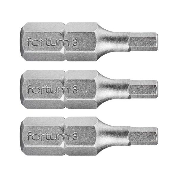 FORTUM HROT IMBUS SADA 3KS, H 3X25MM, S2, 4741504 - IMBUS HROTY 1/4{% if zbozi.kategorie.adresa_nazvy[0] != zbozi.kategorie.nazev %} - PŘÍSLUŠENSTVÍ{% endif %}