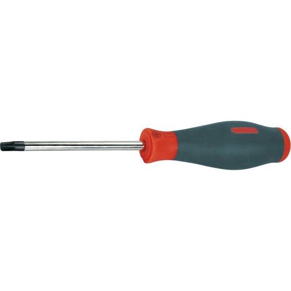 EXTOL PREMIUM ŠROUBOVÁK TORX, T 8X80MM, CRV, 8819063 - ŠROUBOVÁKY TORX{% if zbozi.kategorie.adresa_nazvy[0] != zbozi.kategorie.nazev %} - RUČNÍ NÁŘADÍ{% endif %}