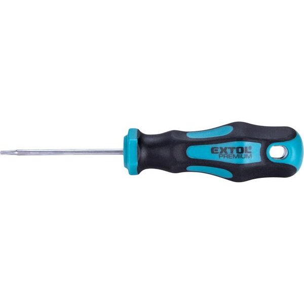 EXTOL PREMIUM ŠROUBOVÁK TORX, T9X60MM, CRV, 8819243 - ŠROUBOVÁKY TORX{% if zbozi.kategorie.adresa_nazvy[0] != zbozi.kategorie.nazev %} - RUČNÍ NÁŘADÍ{% endif %}