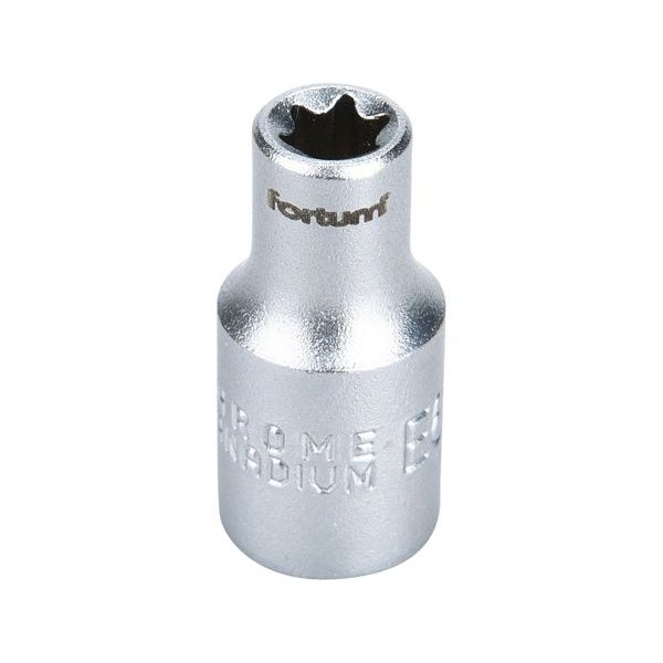 FORTUM HLAVICE NÁSTRČNÁ VNITŘNÍ TORX 1/4", E 6, L 25MM, 4701706 - NÁSTRČNÉ HLAVICE, OŘECHY{% if zbozi.kategorie.adresa_nazvy[0] != zbozi.kategorie.nazev %} - RUČNÍ NÁŘADÍ{% endif %}