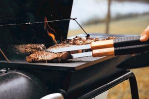 Skvělý oběd na grilu snadno a rychle