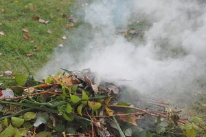 Pálení biomasy na zahradách: Co se od března 2025 změnilo?