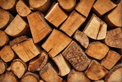 Jak poznat suché dřevo vhodné pro topení?