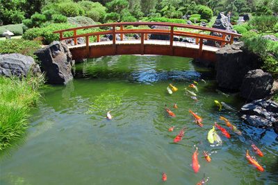 Zahradní jezírko svépomocí?