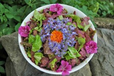 Jídlo v létě. Recept na pampeliškové smoothie