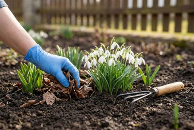 Probouzení zahrady: Průvodce prvními jarními pracemi