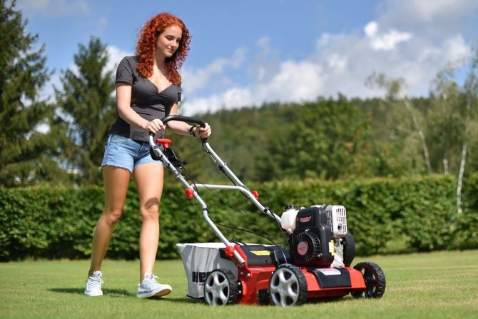 Vertikutace trávníku – proč a jak ji provádět