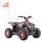 Petrol quad- HECHT 56110 RED