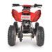 ACCU QUAD - HECHT 54800 - SMALL ATVS - ELECTROMOBILITY
