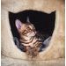 CAT SCRATCHER - GARFIELD B - CAT SCRATCHERS - PET SUPPLIES
