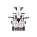 E-SCOOTER - HECHT TERRIS WHITE - ELECTRIC MOTORCYCLES - ELECTROMOBILITY