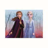 FROZEN II 12 Dřevěné licenční kostky