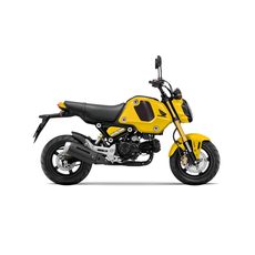 Honda MSX125 pearl queen bee yellow