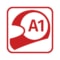 A1 A1