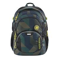 Školní batoh Coocazoo JobJobber2, Polygon Bric