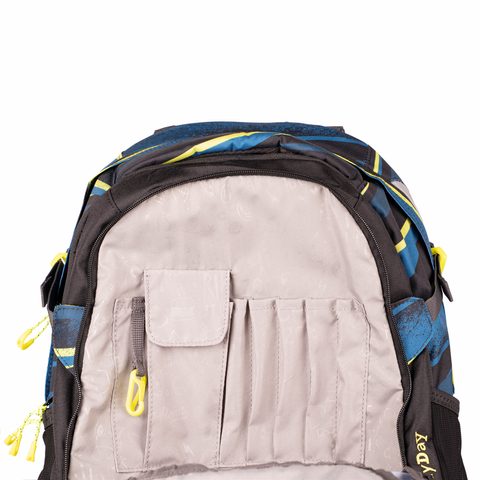 ŠKOLNÍ BATOH COOCAZOO RAYDAY, WILD STRIPE