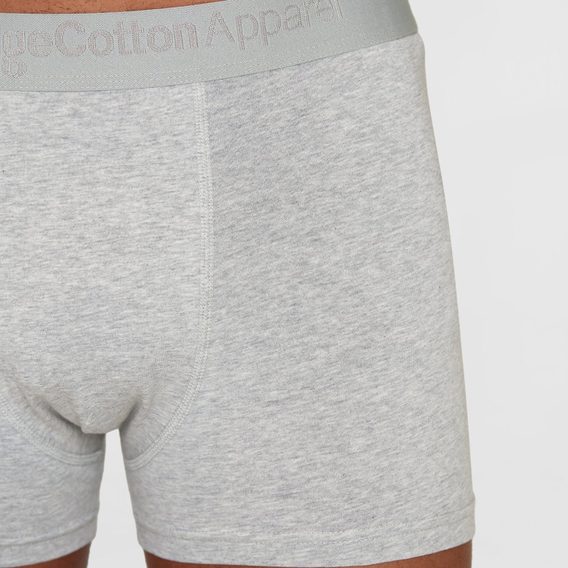 KnowledgeCotton Apparel 2-Pack Underwear — Grey Melange