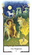 TAROTOVÉ KARTY, TAROT OF THE OLD PATH - MAGICKÉ POMŮCKY