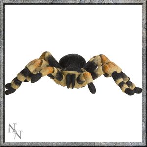 TARANTULE, PAVOUK, FIGURKA - ZVÍŘATA FIGURKY{% if kategorie.adresa_nazvy[0] != zbozi.kategorie.nazev %} - FIGURKY, DEKORACE, ČÍŠE{% endif %}