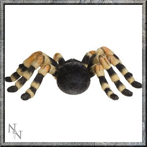 TARANTULE, PAVOUK, FIGURKA - ZVÍŘATA FIGURKY{% if kategorie.adresa_nazvy[0] != zbozi.kategorie.nazev %} - FIGURKY, DEKORACE, ČÍŠE{% endif %}