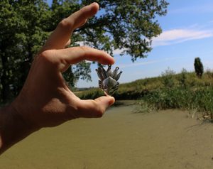 PTÁK OHNIVÁK, STŘÍBRNÝ PŘÍVĚŠEK AG 925, 12G - PŘÍVĚSKY{% if kategorie.adresa_nazvy[0] != zbozi.kategorie.nazev %} - STŘÍBRNÉ ŠPERKY, ZLATÉ{% endif %}