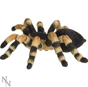 TARANTULE, PAVOUK, FIGURKA - ZVÍŘATA FIGURKY{% if kategorie.adresa_nazvy[0] != zbozi.kategorie.nazev %} - FIGURKY, DEKORACE, ČÍŠE{% endif %}