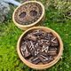 RUNY - FUTHARK S KRABIČKOU - YGGDRASIL - RUNY - HOME DECOR