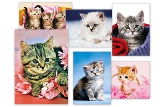 pohlednice sr Z038 B UV 1230303