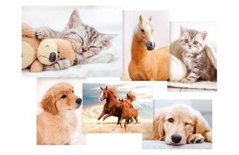 pohlednice sr Z040 B UV 1230329