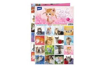 pexeso 3xA4 Kočky 5300893