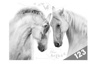 desky na číslice Koně 8021004