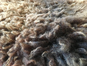 SHEEPSKIN, 1M - LEDER MATERIAL