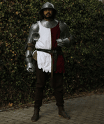 KING'S GUARD - MEDIEVAL KNIGHT - COSTUME RENTAL - COSTUME RENTALS