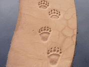 GRIZZLY BEAR TRACK, LEATHER STAMP - LEATHER STAMPS