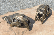 SMILODON, SABERTOOTH TIGER SKULL PENDANT, MASSIVE JEWEL, TIN, BRASS COLOUR - TIERE ANHÄNGER