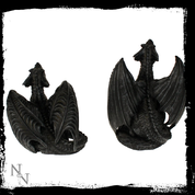 DRAGONS, DARK FURY, SET OF 2 - DRACHEN