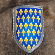 FRANCE, MEDIEVAL SHIELD - METAL, HANDMADE - PAINTED SHIELDS