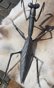 MANTIS, FORGED STATUETTE - FORGED IRON HOME ACCESSORIES