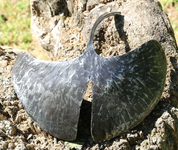 GINKGO BILOBA, FORGED LEAF - BOWL - FORGED IRON HOME ACCESSORIES