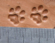 CAT TRACK, LEATHER STAMP - PRÄGESTEMPEL