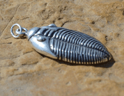 TRILOBITE, SILVER NECKLACE, AG 925 - DINOSAUR PENDANTS