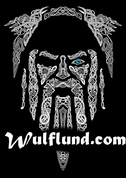 ODIN, VIKING T-SHIRT - HEIDNISCHE T-SHIRTS